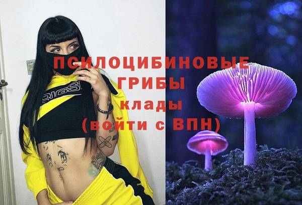 ALPHA-PVP Медногорск