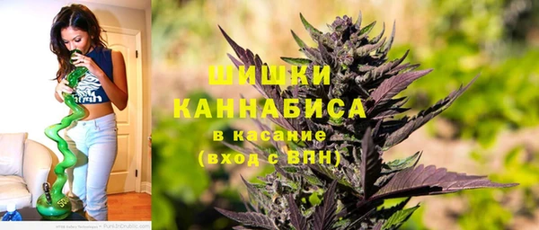 прущие крисы Медвежьегорск
